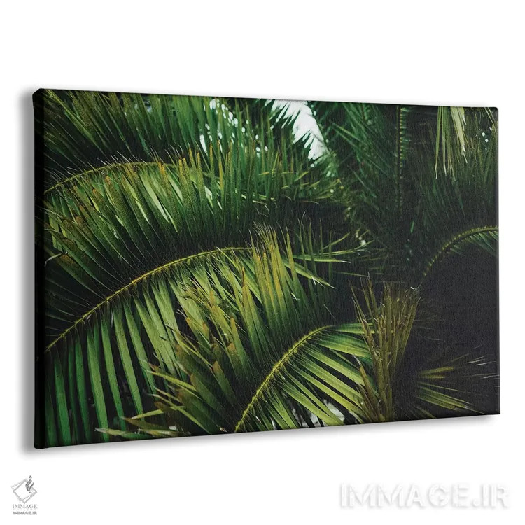 تابلو درخت نخل سانفرانسیسکو اثر بثانی یانگ - نمای پرسپکتیو محصول