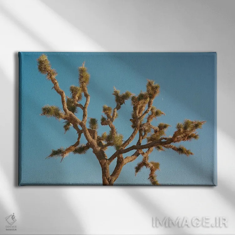 تابلو ماه جاشوا تری ۳ روی نگاتیو اثر بثانی یانگ - نمای روبهرو روی دیوار