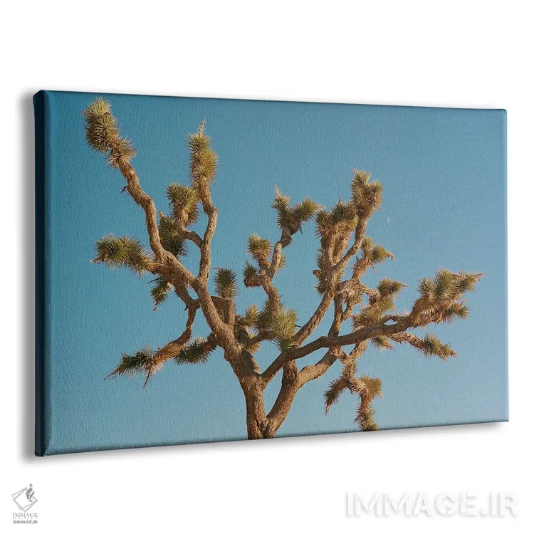 تابلو ماه جاشوا تری ۳ روی نگاتیو اثر بثانی یانگ - نمای پرسپکتیو محصول