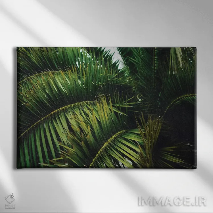 تابلو درخت نخل سانفرانسیسکو اثر بثانی یانگ - نمای روبهرو روی دیوار