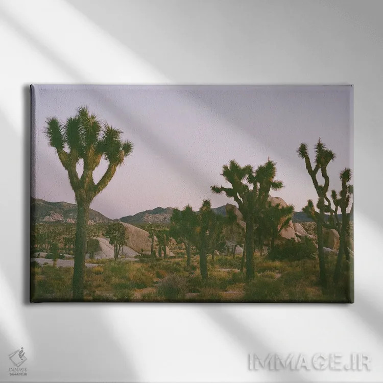 تابلو شفق جاشوا تری ۲ روی نگاتیو اثر بثانی یانگ - نمای روبهرو روی دیوار