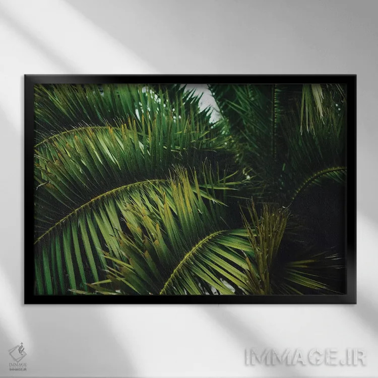 تابلو درخت نخل سانفرانسیسکو اثر بثانی یانگ - نمای قابدار مشکی