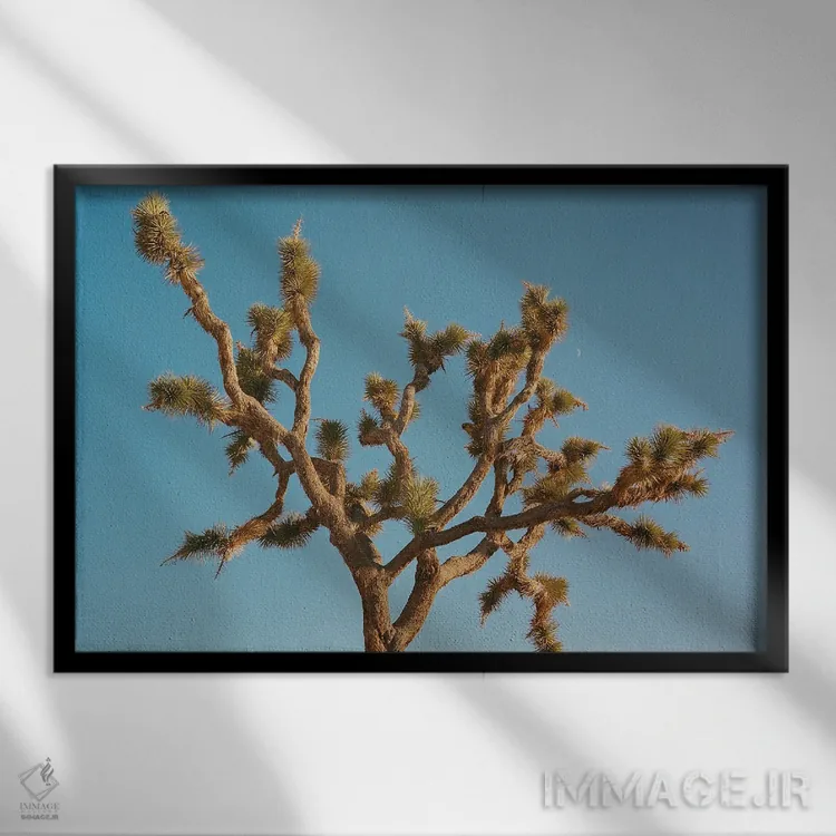 تابلو ماه جاشوا تری ۳ روی نگاتیو اثر بثانی یانگ - نمای قابدار مشکی