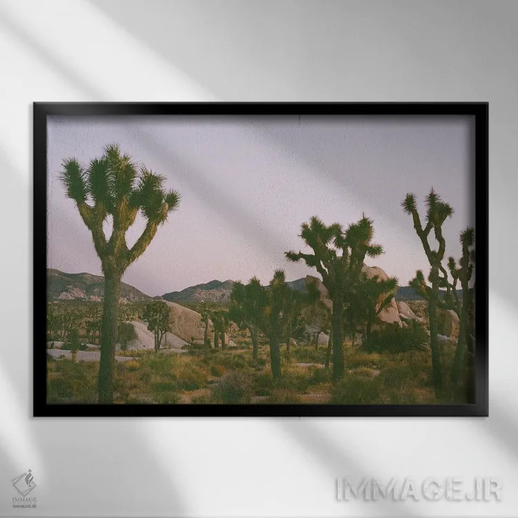 تابلو شفق جاشوا تری ۲ روی نگاتیو اثر بثانی یانگ - نمای قابدار مشکی