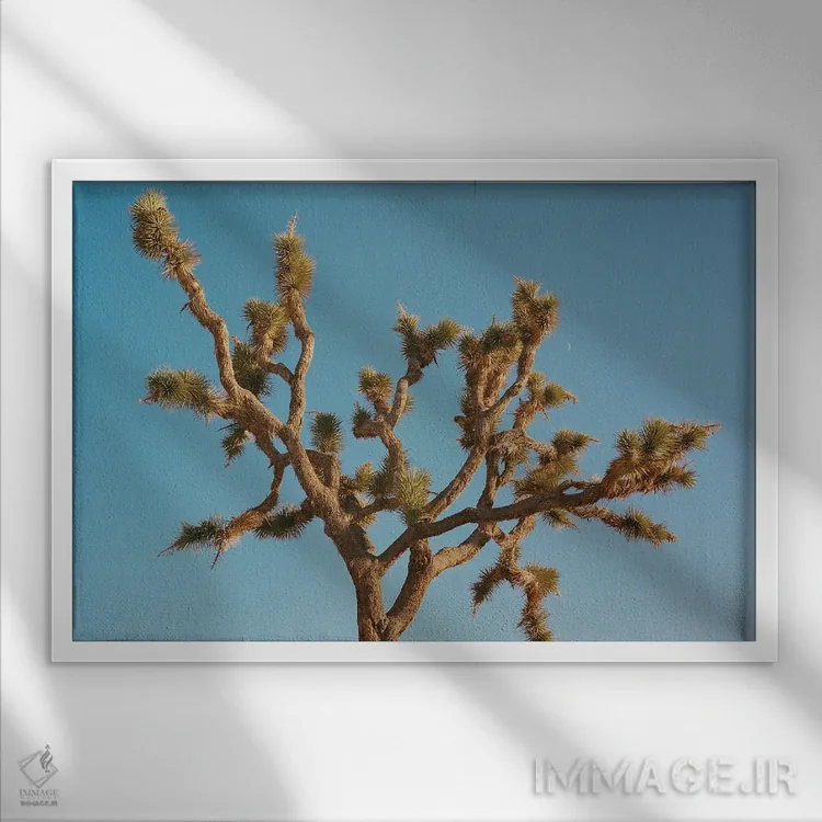 تابلو ماه جاشوا تری ۳ روی نگاتیو اثر بثانی یانگ - نمای قابدار سفید