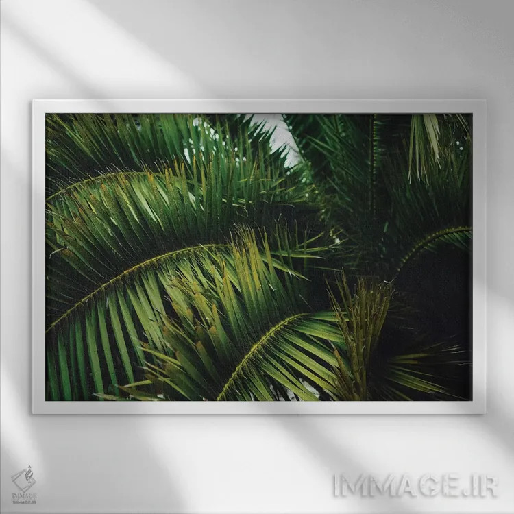 تابلو درخت نخل سانفرانسیسکو اثر بثانی یانگ - نمای قابدار سفید