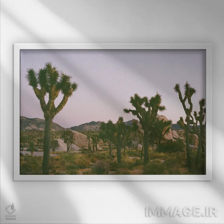 تابلو شفق جاشوا تری ۲ روی نگاتیو اثر بثانی یانگ - نمای قابدار سفید