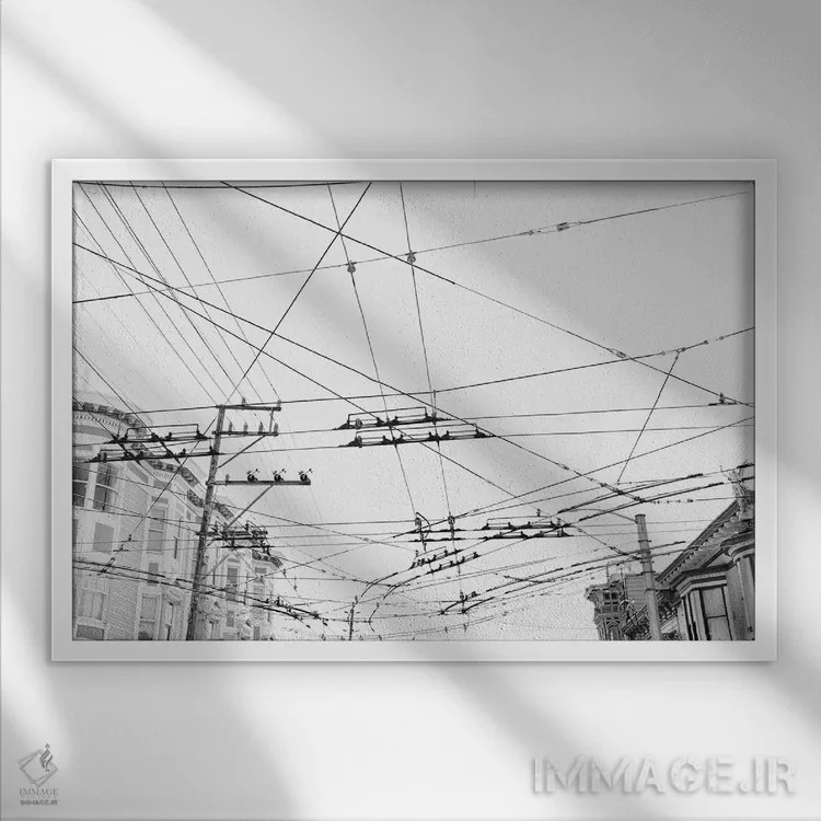 تابلو سانفرانسیسکو ۱۹ اثر بثانی یانگ - نمای قابدار سفید