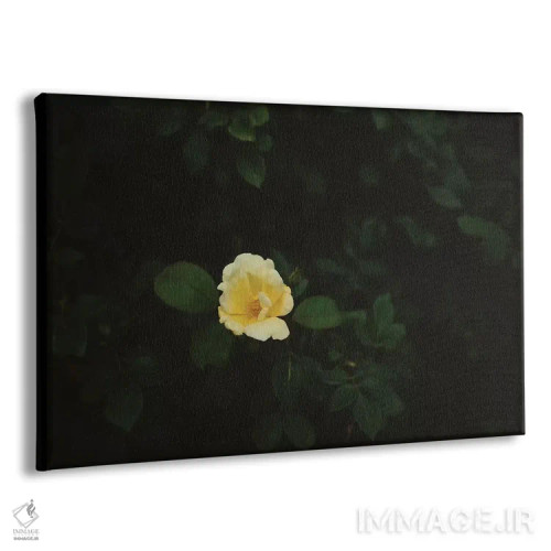 تابلو شکوفههای واشینگتن اثر بثانی یانگ - نمای پرسپکتیو محصول