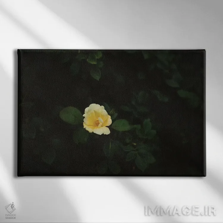 تابلو شکوفههای واشینگتن اثر بثانی یانگ - نمای روبهرو روی دیوار