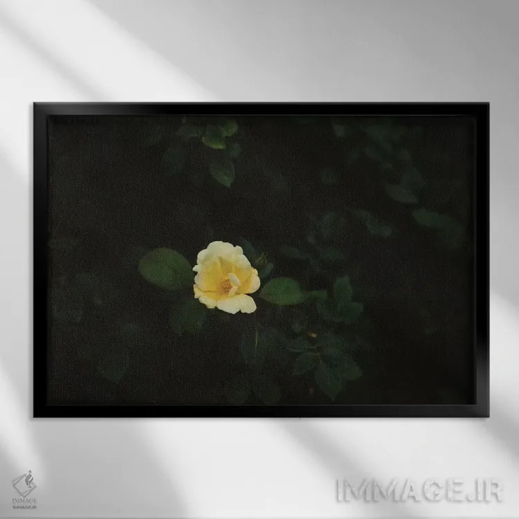 تابلو شکوفههای واشینگتن اثر بثانی یانگ - نمای قابدار مشکی