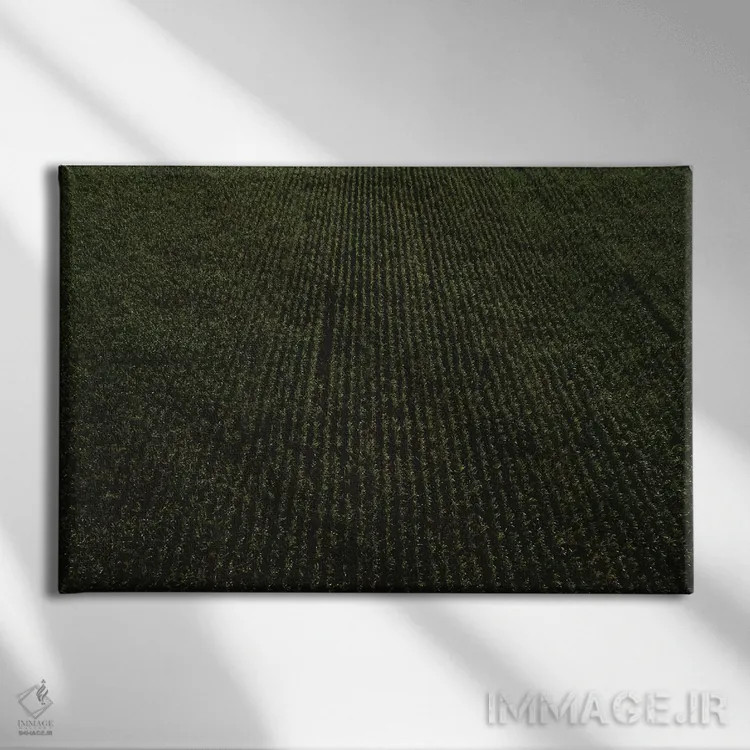 تابلو مزارع ذرت روستایی ۲ اثر بثانی یانگ - نمای روبهرو روی دیوار