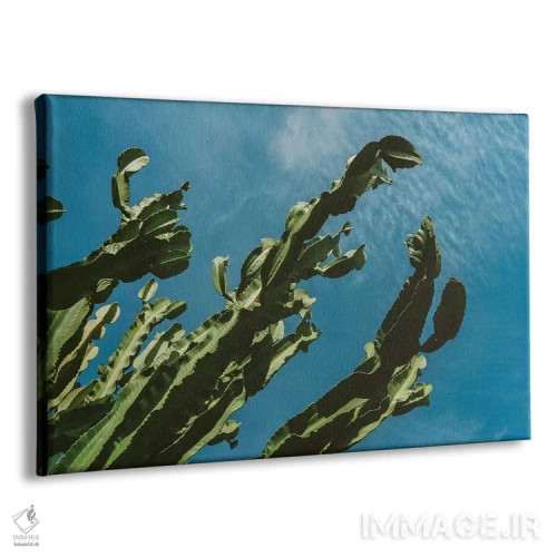 تابلو آسمان کاکتوس شماره سه اثر بثانی یانگ - نمای پرسپکتیو محصول