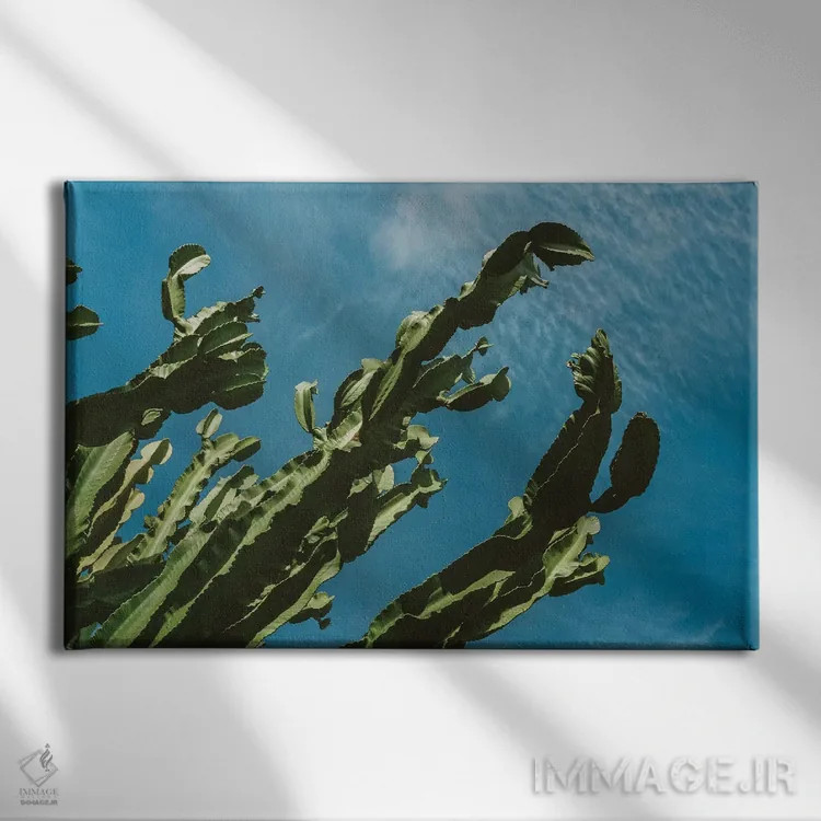 تابلو آسمان کاکتوس شماره سه اثر بثانی یانگ - نمای روبهرو روی دیوار