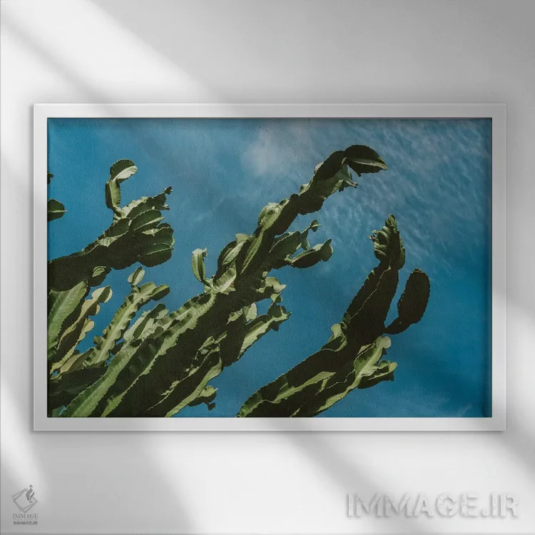 تابلو آسمان کاکتوس شماره سه اثر بثانی یانگ - نمای قابدار سفید