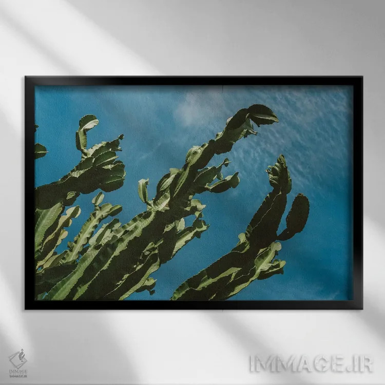 تابلو آسمان کاکتوس شماره سه اثر بثانی یانگ - نمای قابدار مشکی