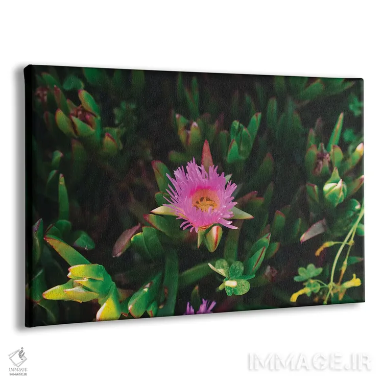 تابلو شکوفههای بیگ سور چهار اثر بثانی یانگ - نمای پرسپکتیو محصول