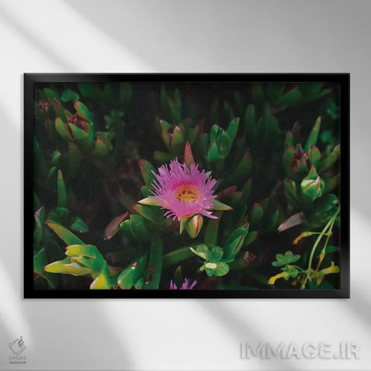 تابلو شکوفههای بیگ سور چهار اثر بثانی یانگ - نمای قابدار مشکی