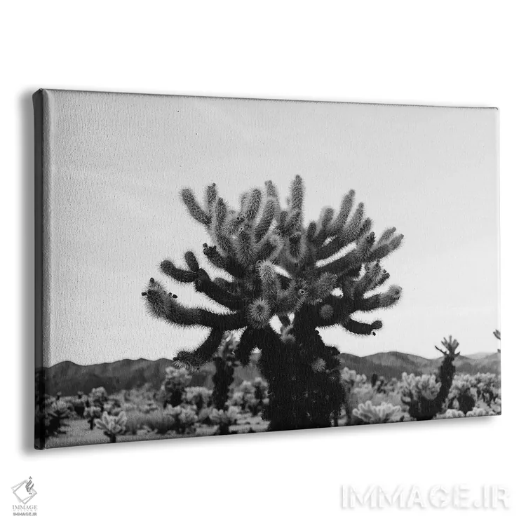 تابلو باغ کاکتوس چولا یازده اثر بثانی یانگ - نمای پرسپکتیو محصول