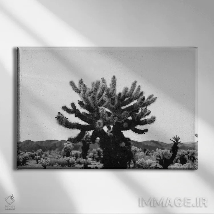 تابلو باغ کاکتوس چولا یازده اثر بثانی یانگ - نمای روبهرو روی دیوار