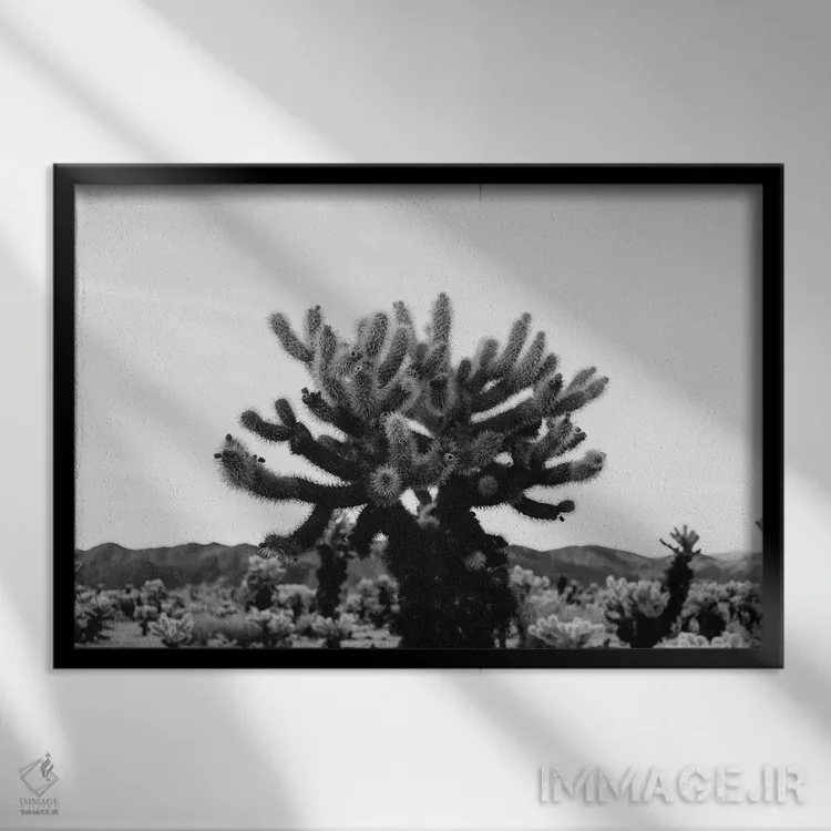 تابلو باغ کاکتوس چولا یازده اثر بثانی یانگ - نمای قابدار مشکی