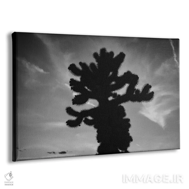 تابلو باغ کاکتوس چولا پانزده اثر بثانی یانگ - نمای پرسپکتیو محصول