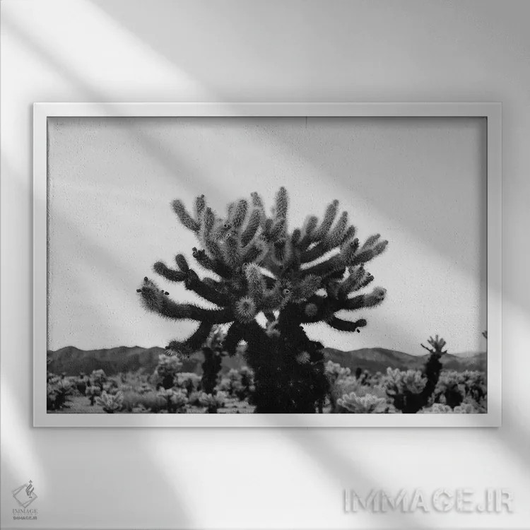 تابلو باغ کاکتوس چولا یازده اثر بثانی یانگ - نمای قابدار سفید