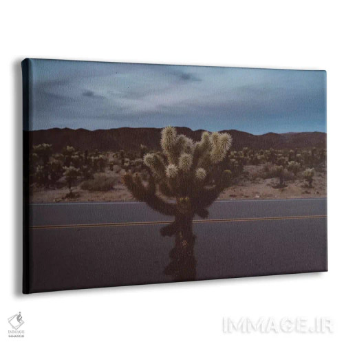 تابلو باغ کاکتوس چولا شانزده اثر بثانی یانگ - نمای پرسپکتیو محصول