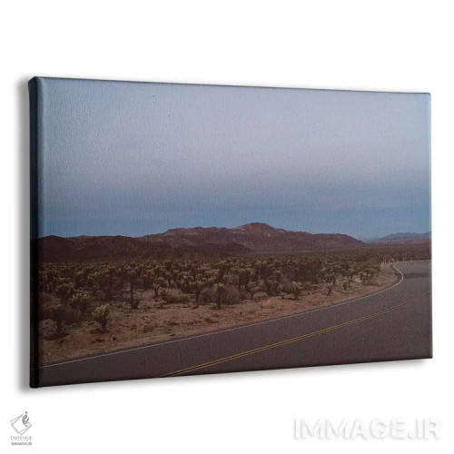 تابلو باغ کاکتوس چولا هجده اثر بثانی یانگ - نمای پرسپکتیو محصول