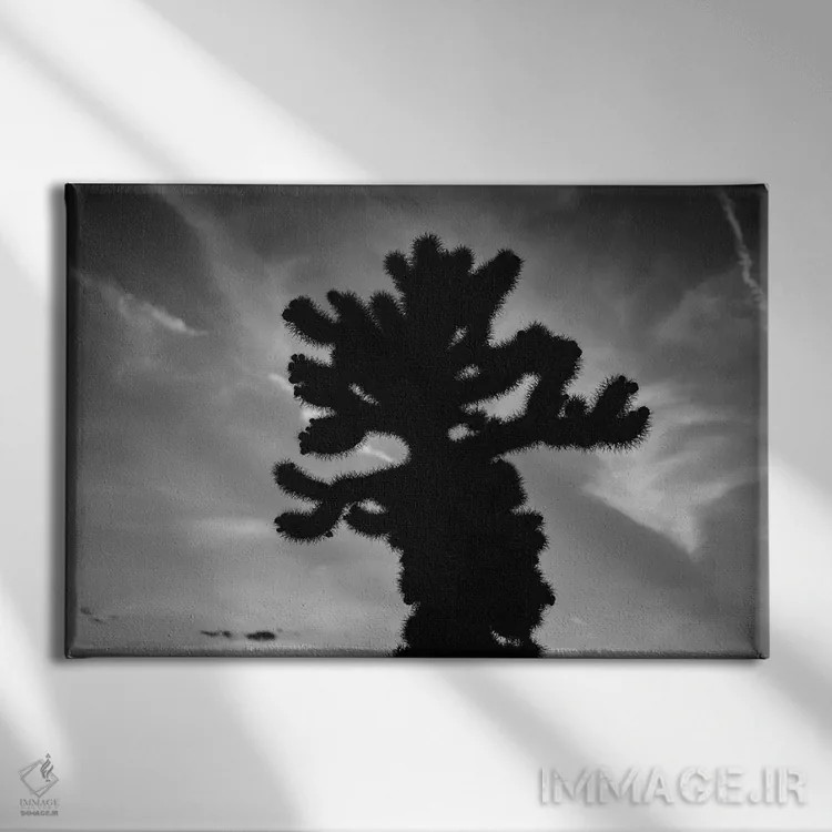 تابلو باغ کاکتوس چولا پانزده اثر بثانی یانگ - نمای روبهرو روی دیوار