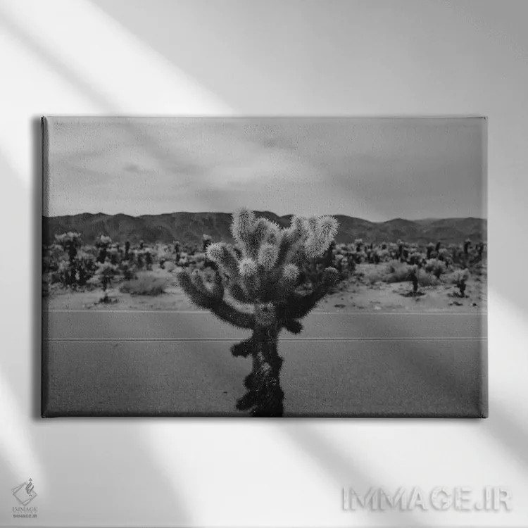 تابلو باغ کاکتوس چولا هفده اثر بثانی یانگ - نمای روبهرو روی دیوار