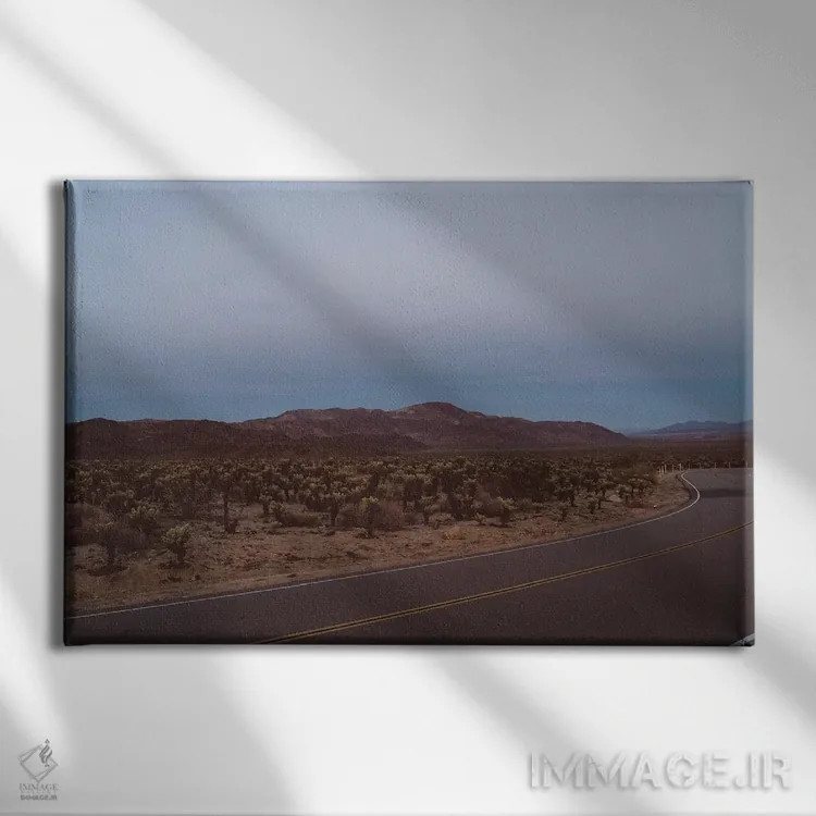 تابلو باغ کاکتوس چولا هجده اثر بثانی یانگ - نمای روبهرو روی دیوار