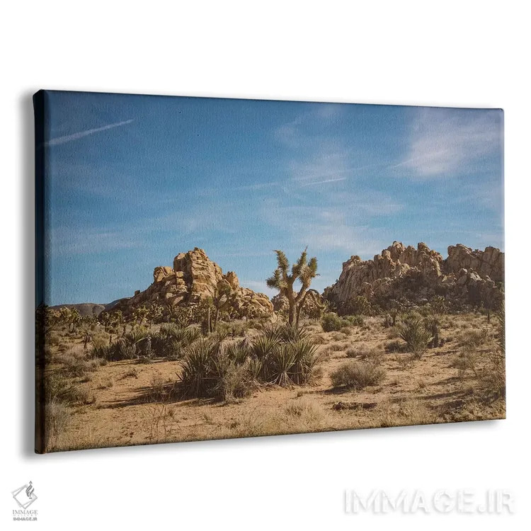 تابلو پارک ملی جاشوا تری بیست و سوم اثر بثانی یانگ - نمای پرسپکتیو محصول