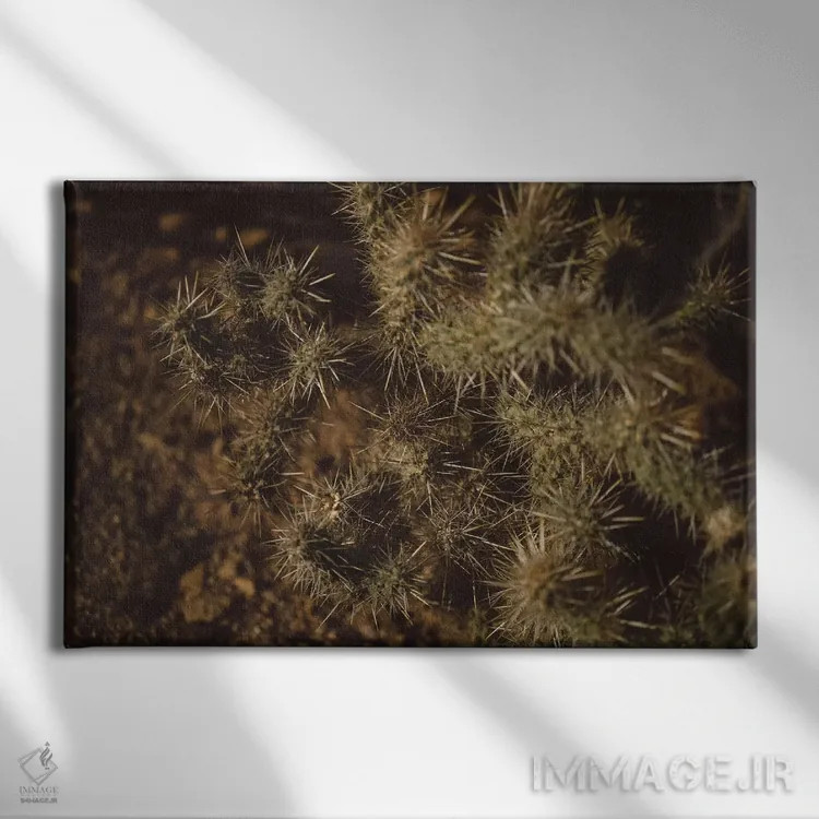 تابلو کاکتوس جاشوا تری اثر بثانی یانگ - نمای روبهرو روی دیوار