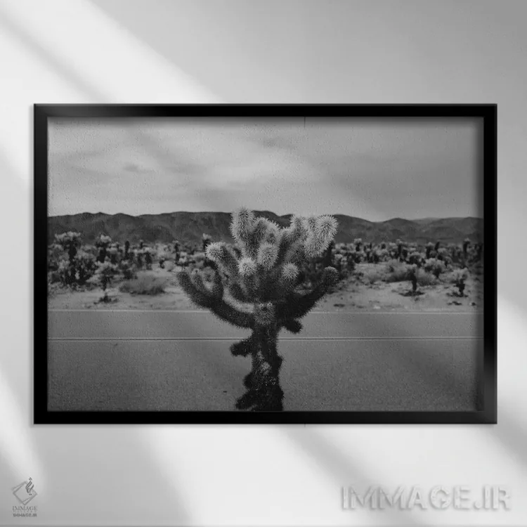 تابلو باغ کاکتوس چولا هفده اثر بثانی یانگ - نمای قابدار مشکی