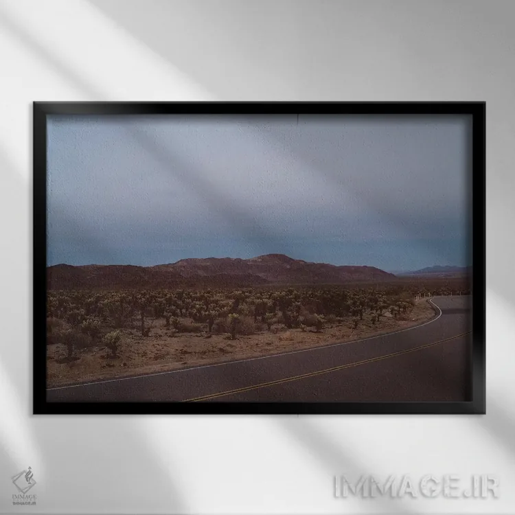 تابلو باغ کاکتوس چولا هجده اثر بثانی یانگ - نمای قابدار مشکی