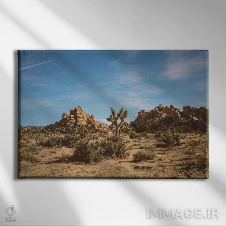 تابلو پارک ملی جاشوا تری بیست و سوم اثر بثانی یانگ - نمای روبهرو روی دیوار