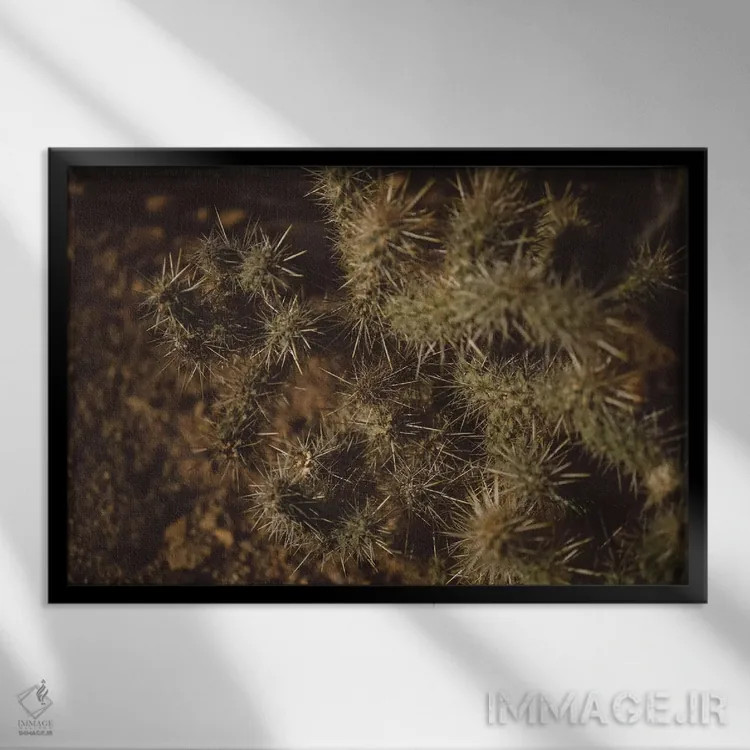 تابلو کاکتوس جاشوا تری اثر بثانی یانگ - نمای قابدار مشکی