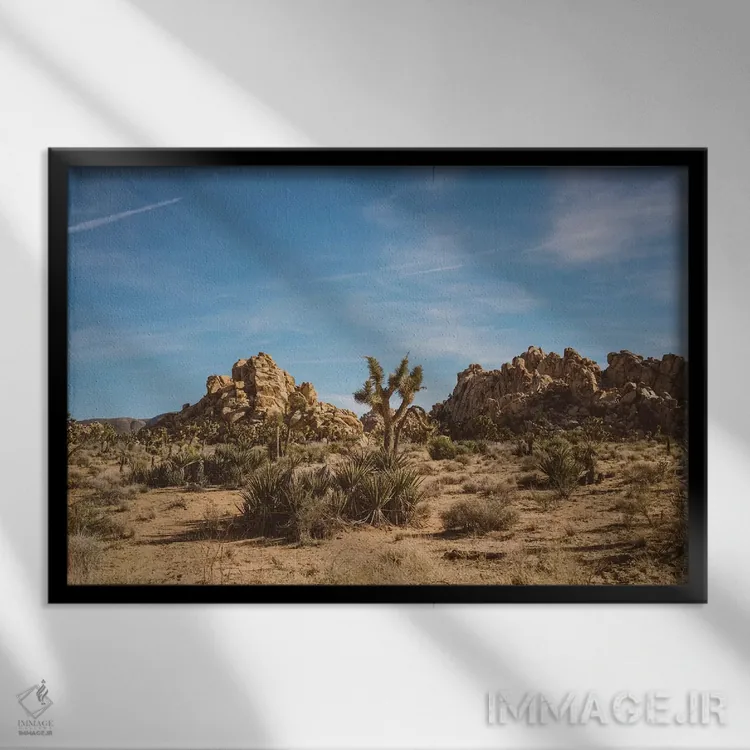 تابلو پارک ملی جاشوا تری بیست و سوم اثر بثانی یانگ - نمای قابدار مشکی