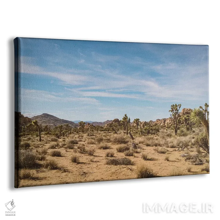 تابلو پارک ملی جاشوا تری بیست و چهارم اثر بثانی یانگ - نمای پرسپکتیو محصول