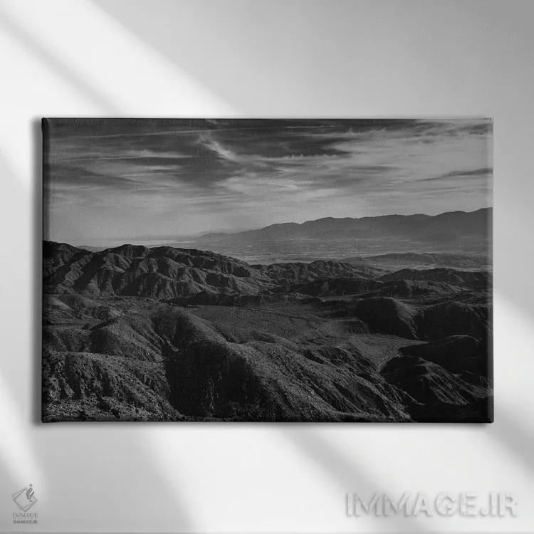 تابلو پارک ملی جاشوا تری بیست و نهم اثر بثانی یانگ - نمای روبهرو روی دیوار