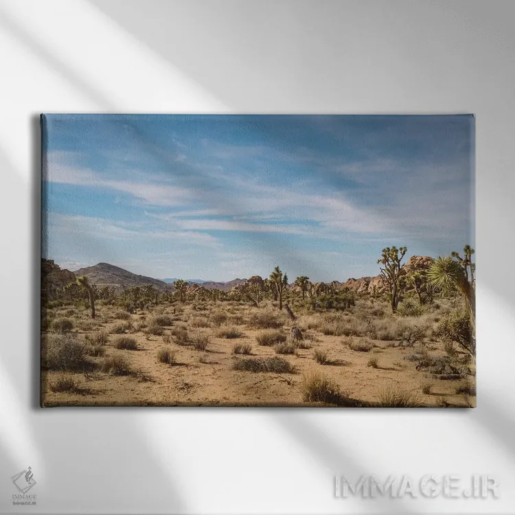 تابلو پارک ملی جاشوا تری بیست و چهارم اثر بثانی یانگ - نمای روبهرو روی دیوار