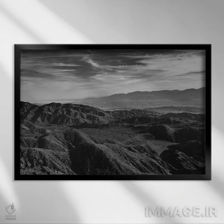 تابلو پارک ملی جاشوا تری بیست و نهم اثر بثانی یانگ - نمای قابدار مشکی