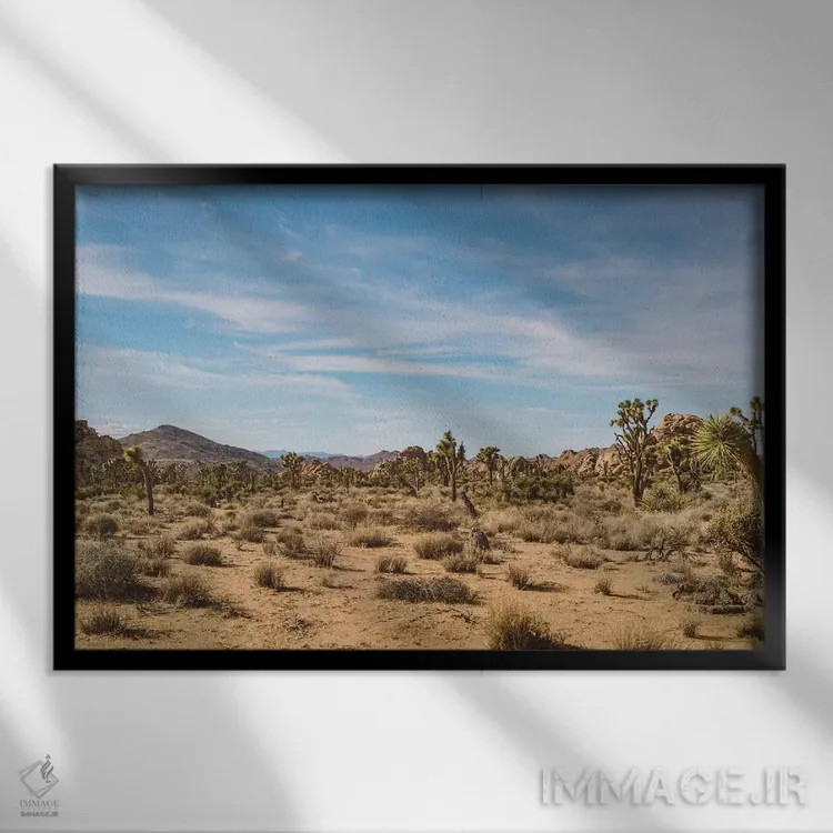 تابلو پارک ملی جاشوا تری بیست و چهارم اثر بثانی یانگ - نمای قابدار مشکی