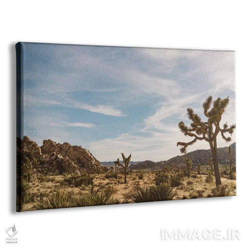 تابلو پارک ملی جاشوا تری بیست و ششم اثر بثانی یانگ - نمای پرسپکتیو محصول