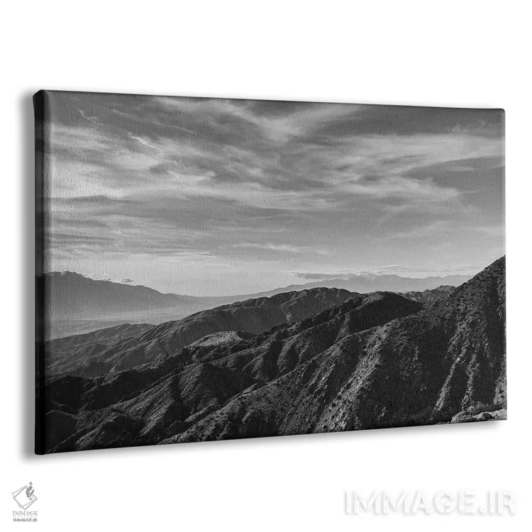 تابلو پارک ملی جاشوا تری بیست و هفتم اثر بثانی یانگ - نمای پرسپکتیو محصول