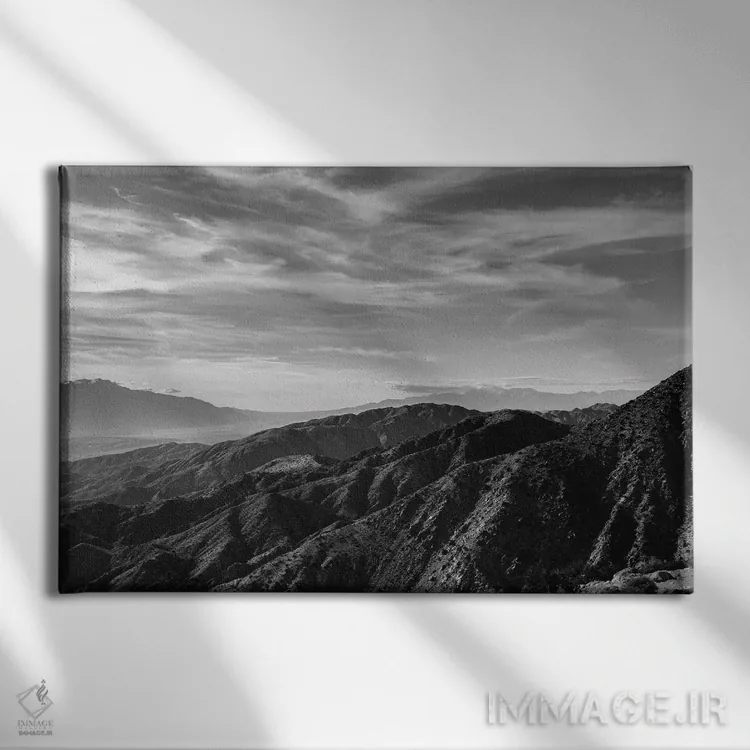 تابلو پارک ملی جاشوا تری بیست و هفتم اثر بثانی یانگ - نمای روبهرو روی دیوار