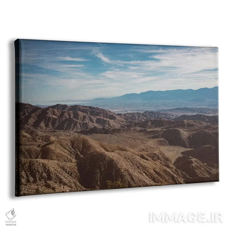 تابلو پارک ملی جاشوا تری بیست و هشتم اثر بثانی یانگ - نمای پرسپکتیو محصول