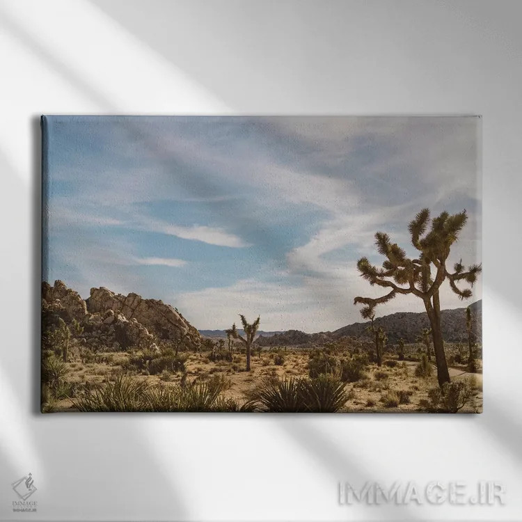 تابلو پارک ملی جاشوا تری بیست و ششم اثر بثانی یانگ - نمای روبهرو روی دیوار