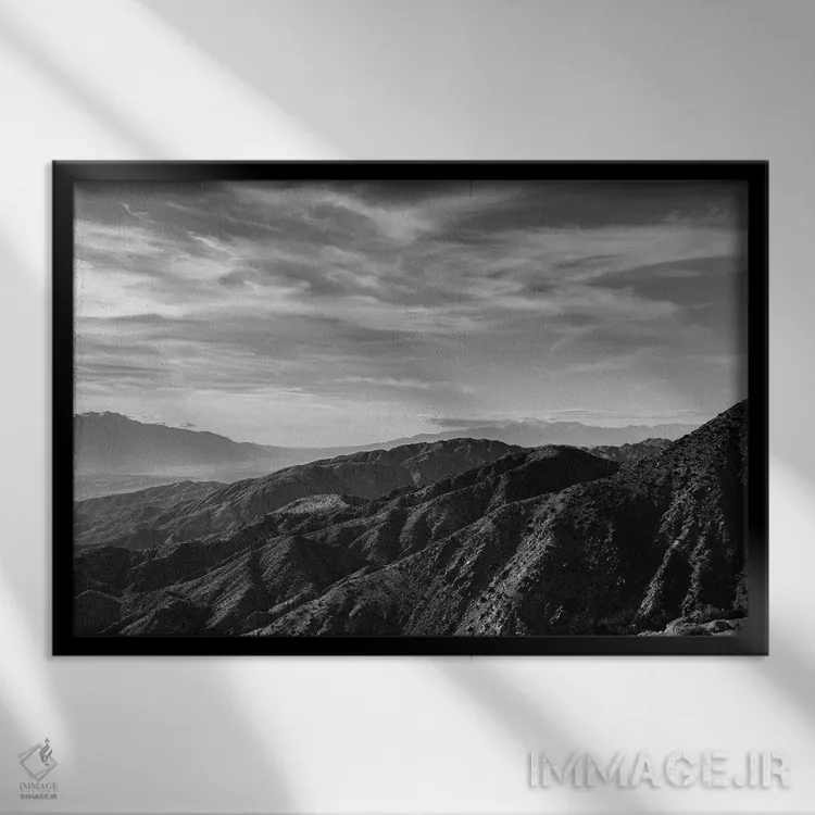 تابلو پارک ملی جاشوا تری بیست و هفتم اثر بثانی یانگ - نمای قابدار مشکی